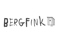 bergfink