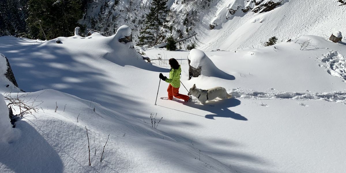 Schneeschuhwandern mit Schneebuffet im Bregenzerwald
